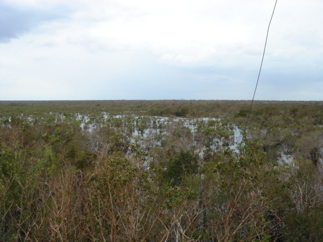 dsc00629.jpg